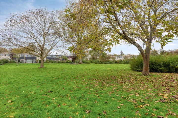 Foto 15 van Boterbloem 53