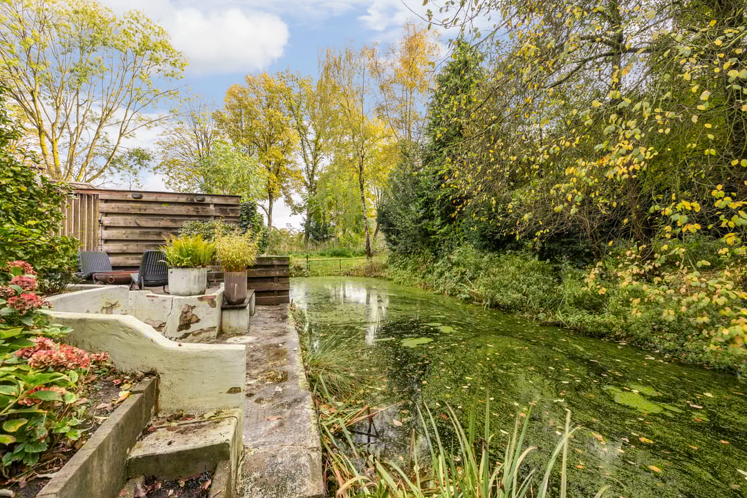 Photo 37 of Edelvalk 42