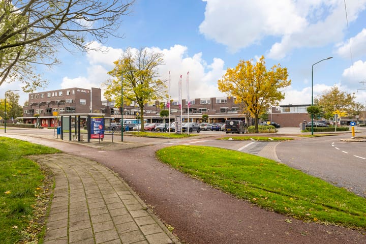 Foto 46 van Edelvalk 42