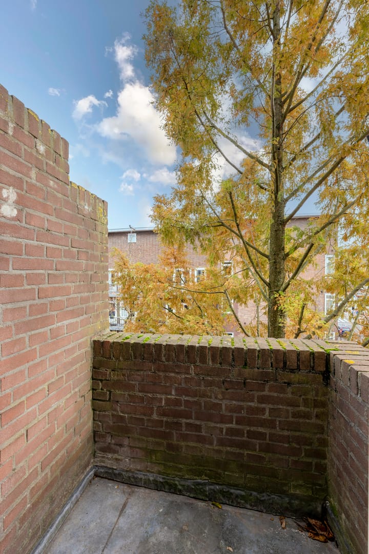 Foto 14 van Orteliusstraat 289-3V