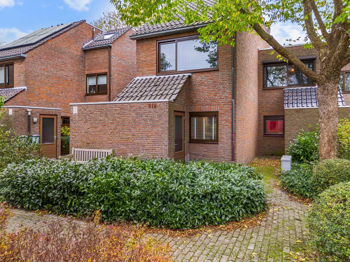 Foto 5 van Troelstraplein 11