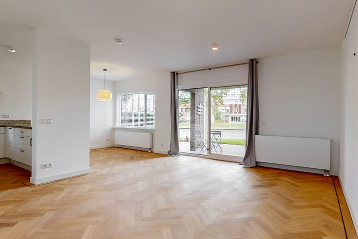 Foto 2 van Troelstraplein 11