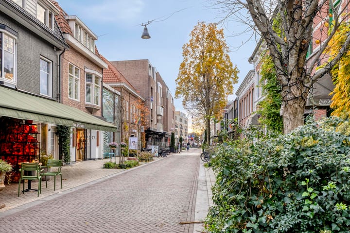 Foto 26 van Prins Hendrikstraat 42-E