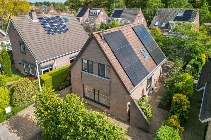 Foto 5 van Treebord 4