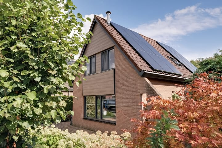 Foto 6 van Treebord 4