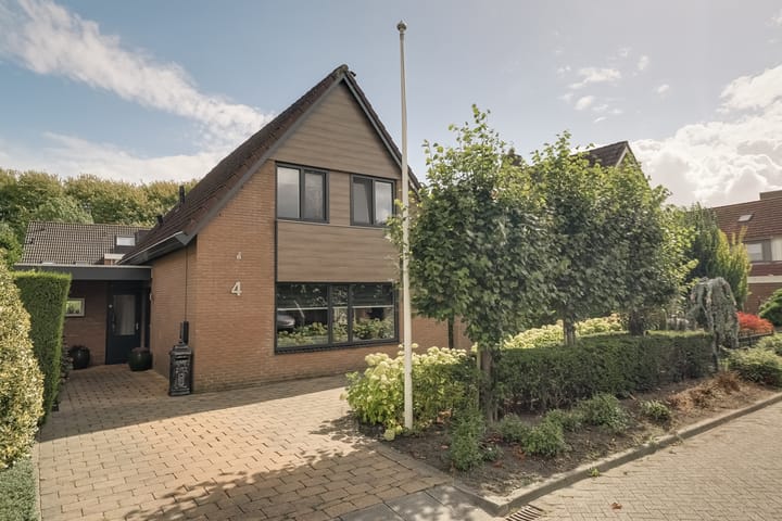 Foto 7 van Treebord 4