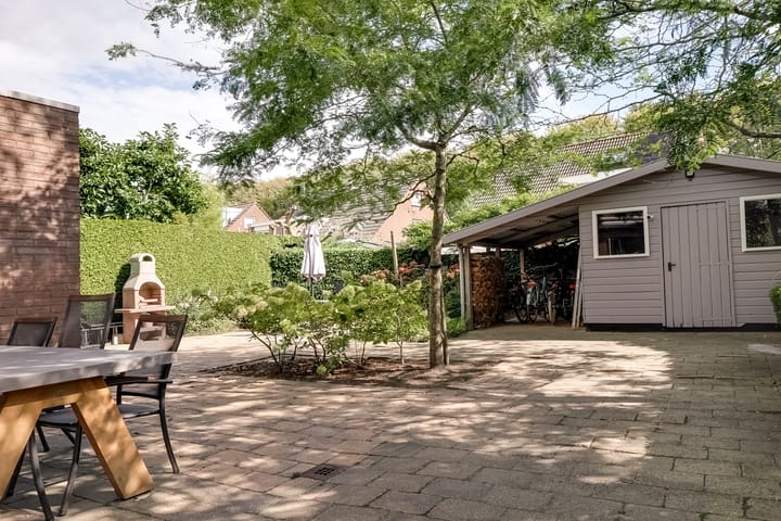 Foto 45 van Treebord 4