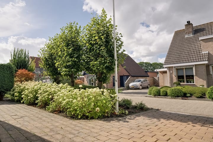 Foto 48 van Treebord 4