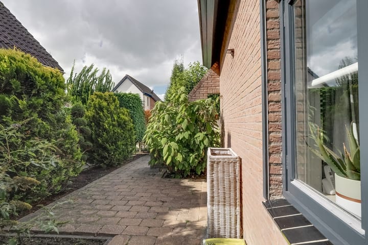 Foto 47 van Treebord 4