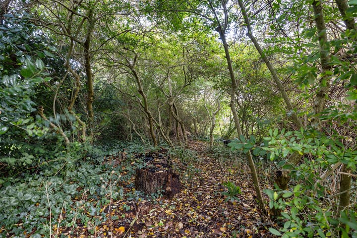 Photo 49 of Brahmsweg 3