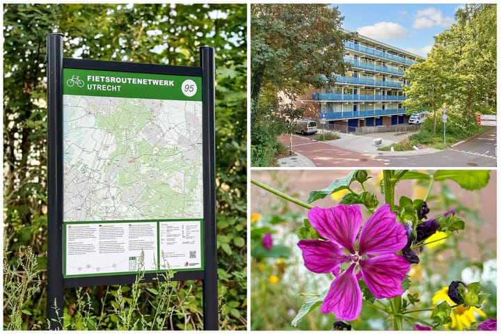 Photo 20 of Fornheselaan 12