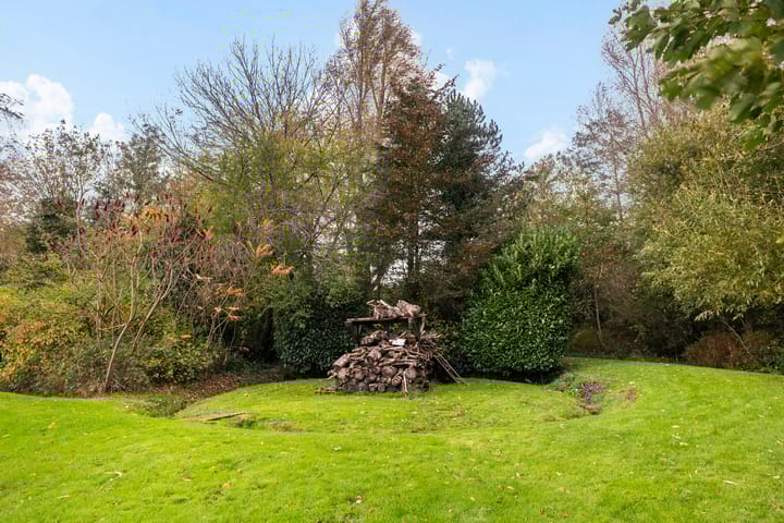 Photo 57 of Reahel 15