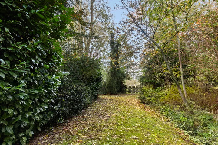 Photo 60 of Reahel 15