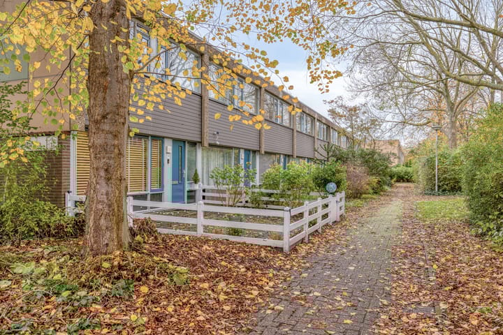 Photo 6 of Klaproos 24