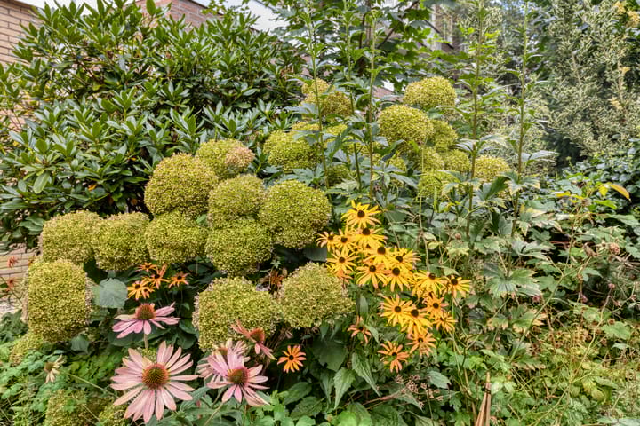 Foto 29 van Orteliusstraat 310-H