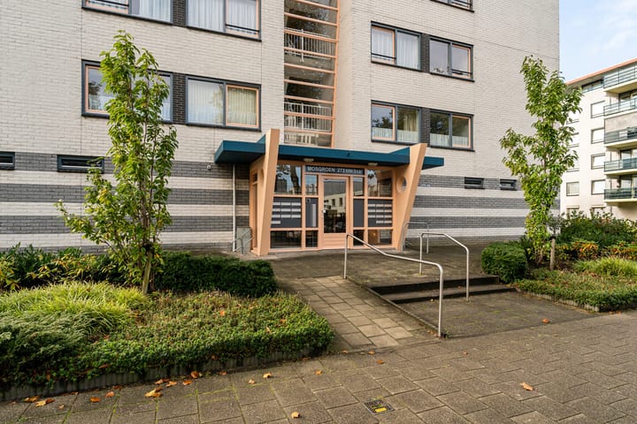 Photo 10 of Mosgroen 277