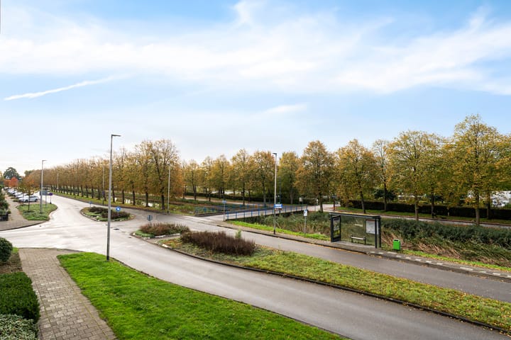 Photo 37 of Mosgroen 277