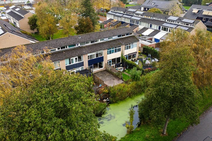 Foto 42 van Salomonszegel 98