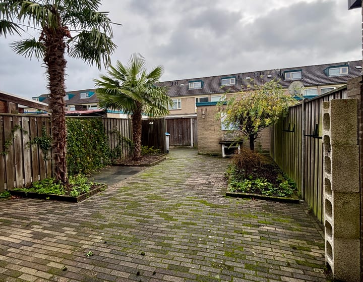 Photo 4 of Catharina van Renneslaan 9