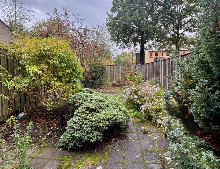 Photo 4 of Hoenlo 23