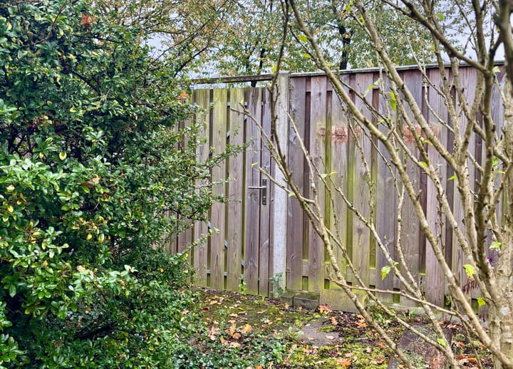 Photo 17 of Hoenlo 23