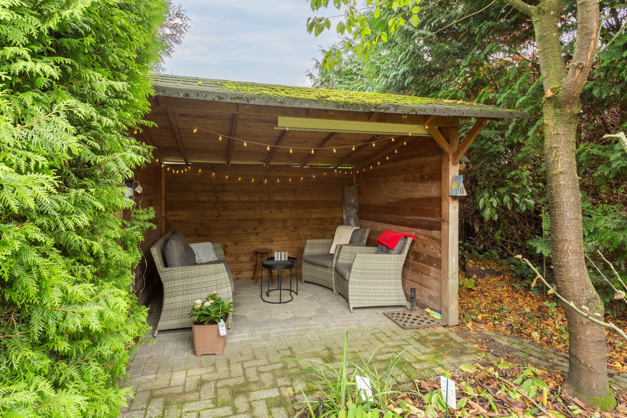 Foto 33 van Breerijt 40