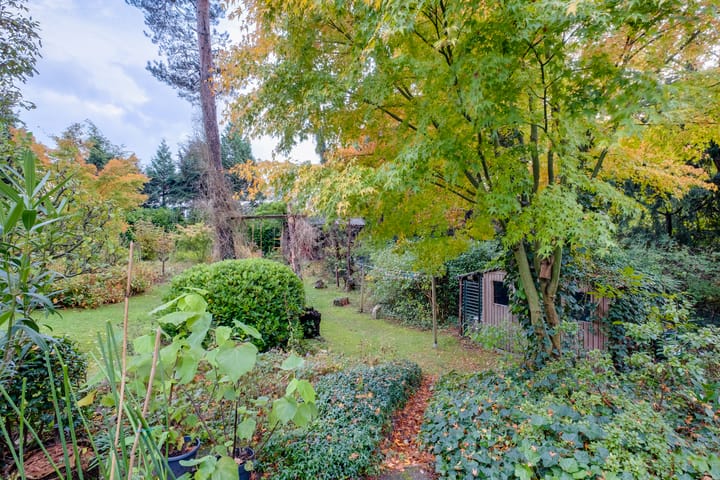 Foto 40 van Köllinglaan 9