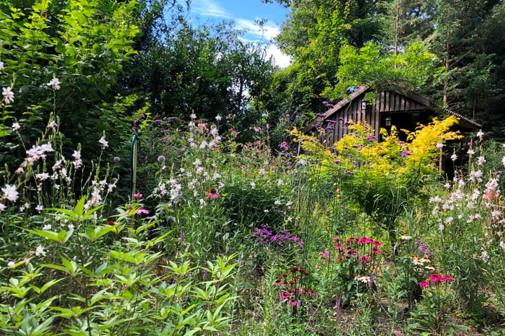 Foto 47 van Köllinglaan 9