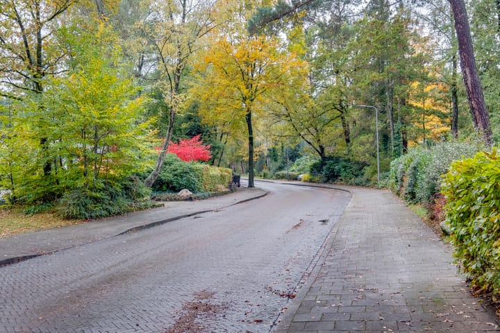 Foto 49 van Köllinglaan 9