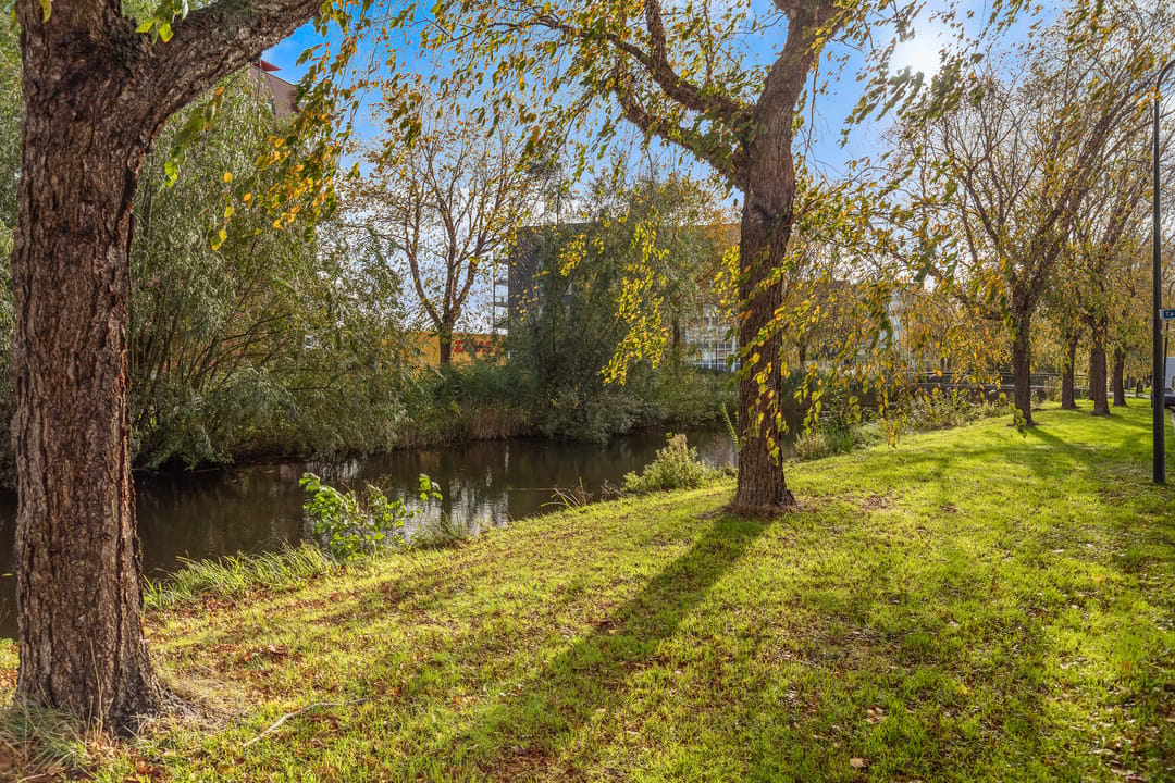 Foto 46 van Belcantodreef 77