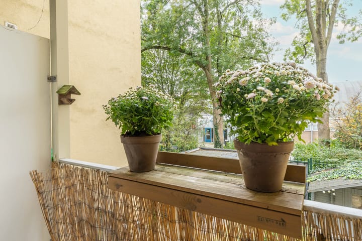 Foto 26 van Van Bossestraat 30-1