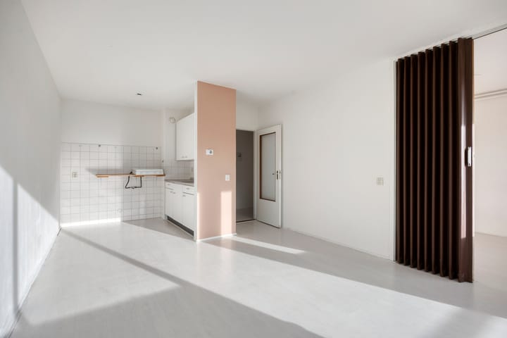 Photo 11 of Ir J.P. van Muijlwijkstraat 216