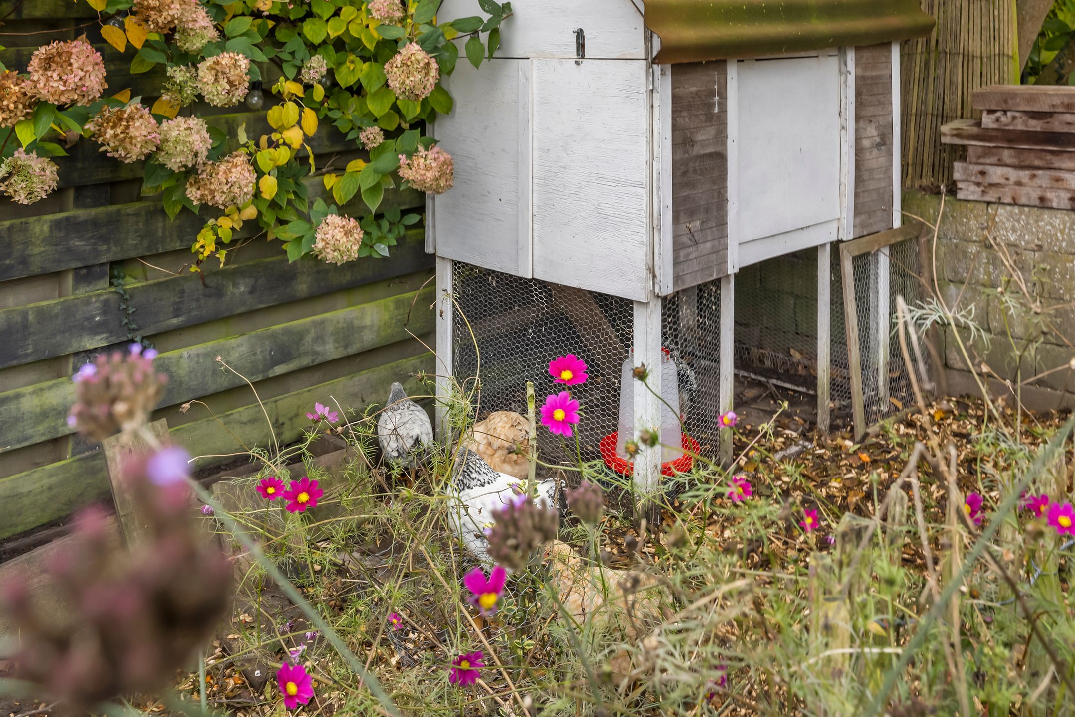 Foto 18 van Oranjestraat 54