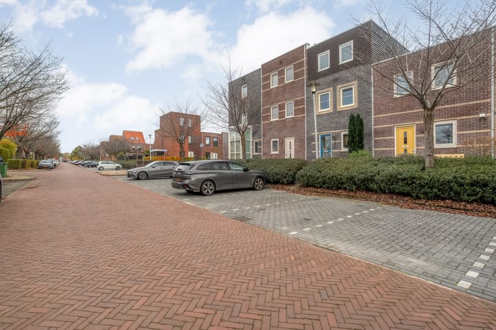 Photo 7 of Citroenvlinder 97