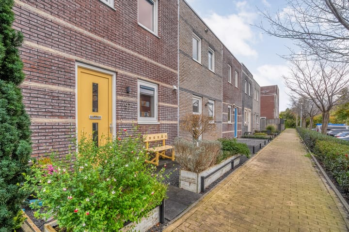 Photo 8 of Citroenvlinder 97