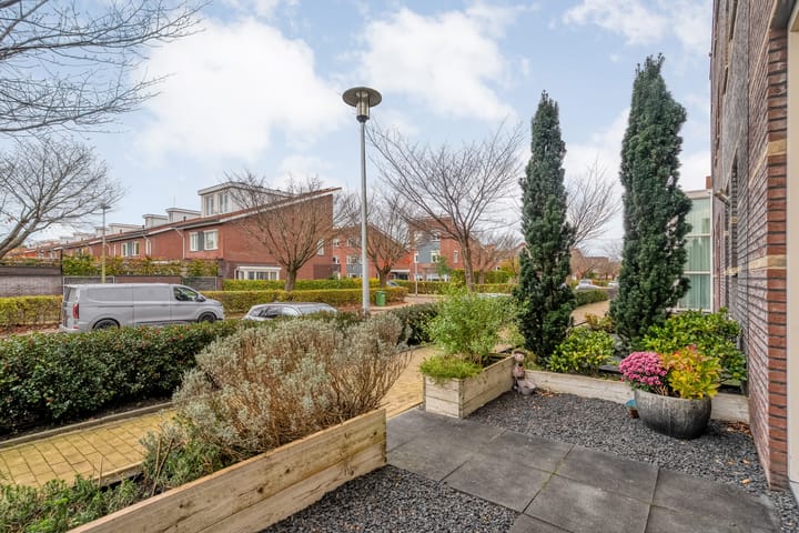 Photo 9 of Citroenvlinder 97