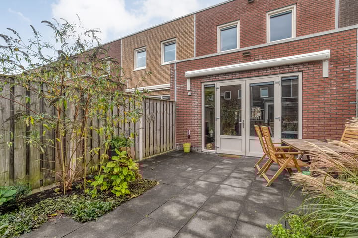 Photo 37 of Citroenvlinder 97