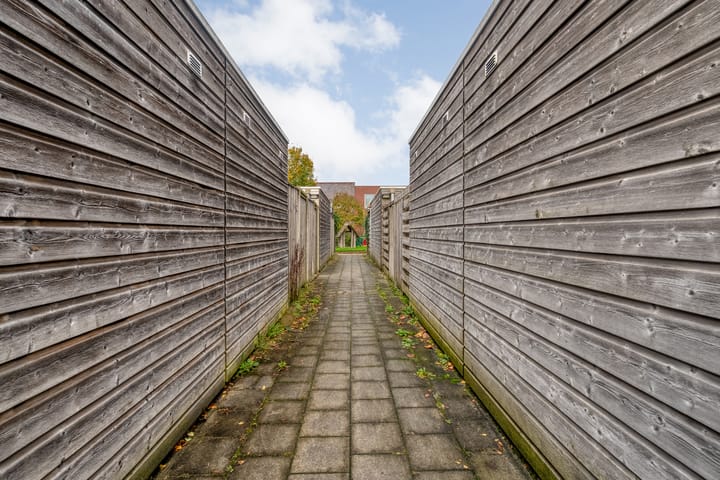 Photo 40 of Citroenvlinder 97