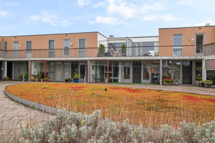 Photo 2 of Kop van Het Ruim 37