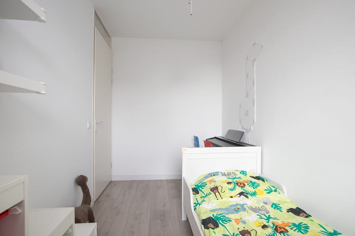 Photo 25 of Buys Ballotstraat 1