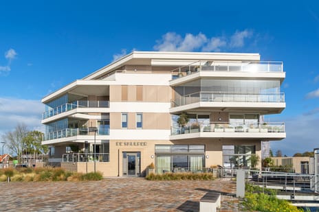 De Skulper thumbnail