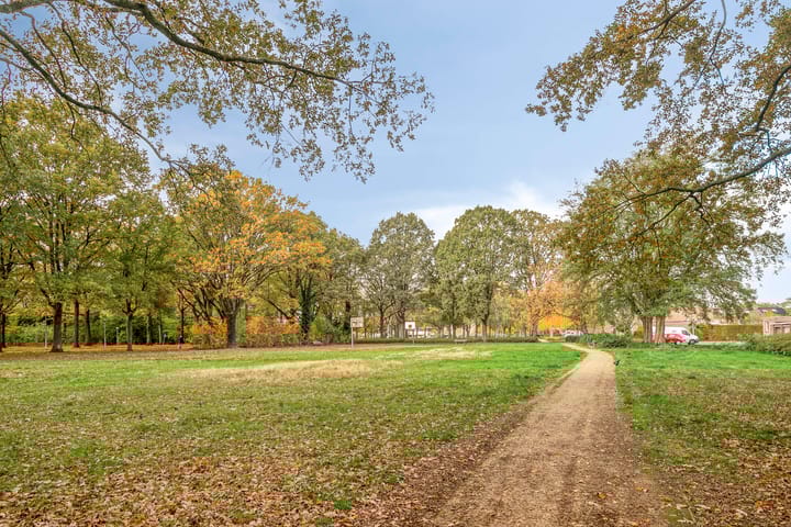 Foto 29 van Liviuslaan 10