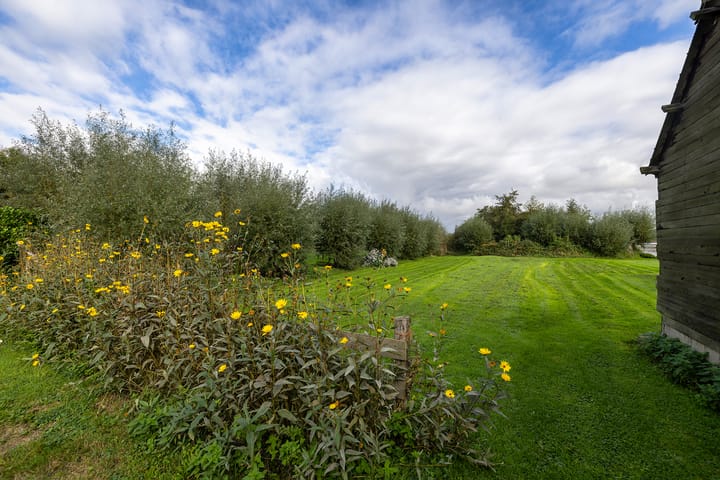 Photo 52 of Laan van Niftarlake 68