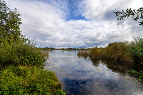 Laan van Niftarlake 68 secondary image