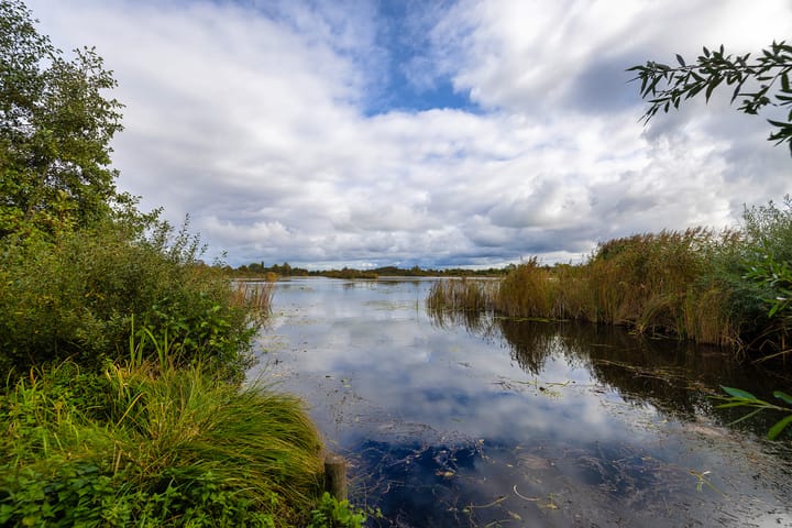 Photo 2 of Laan van Niftarlake 68