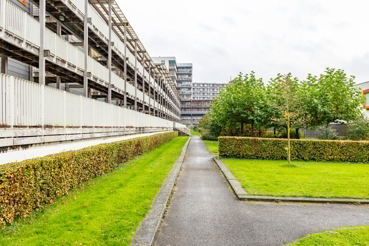 Foto 34 van Laan van de Vrijheid 100