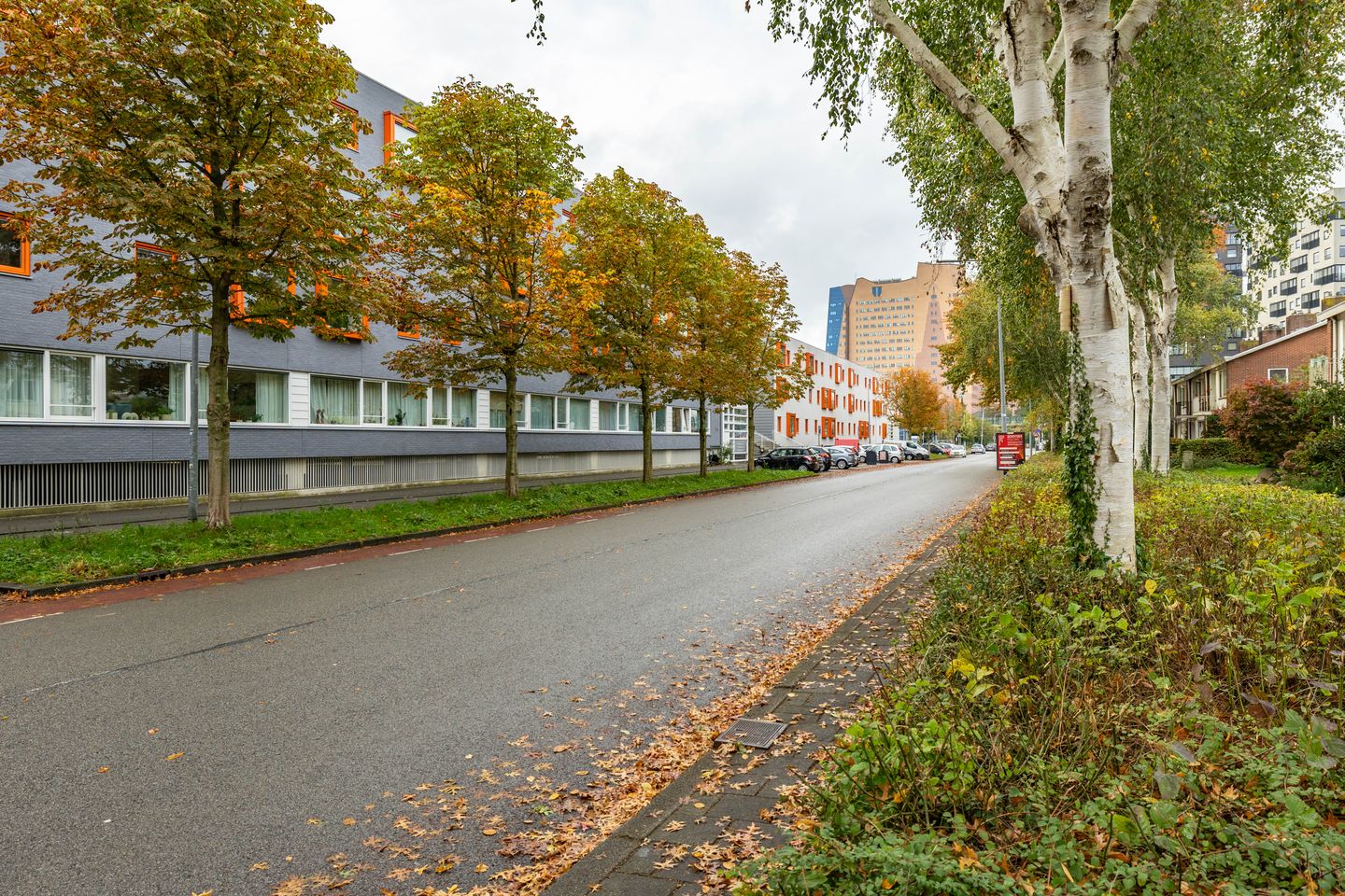 Foto 35 van Laan van de Vrijheid 100