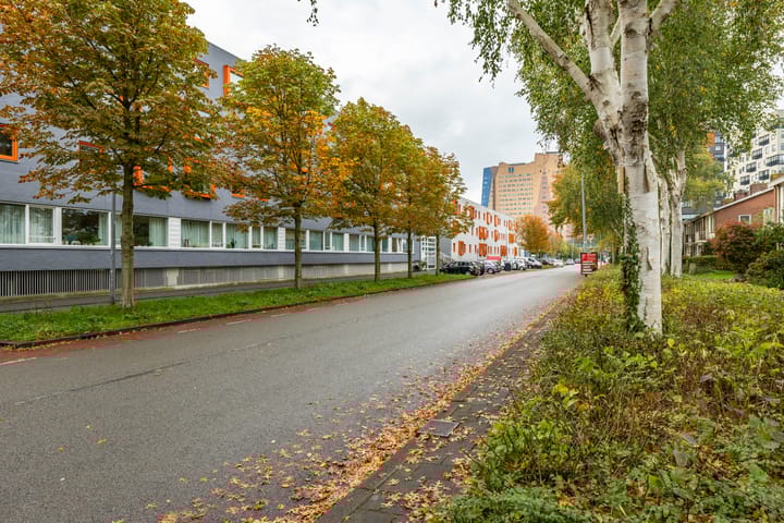 Foto 35 van Laan van de Vrijheid 100