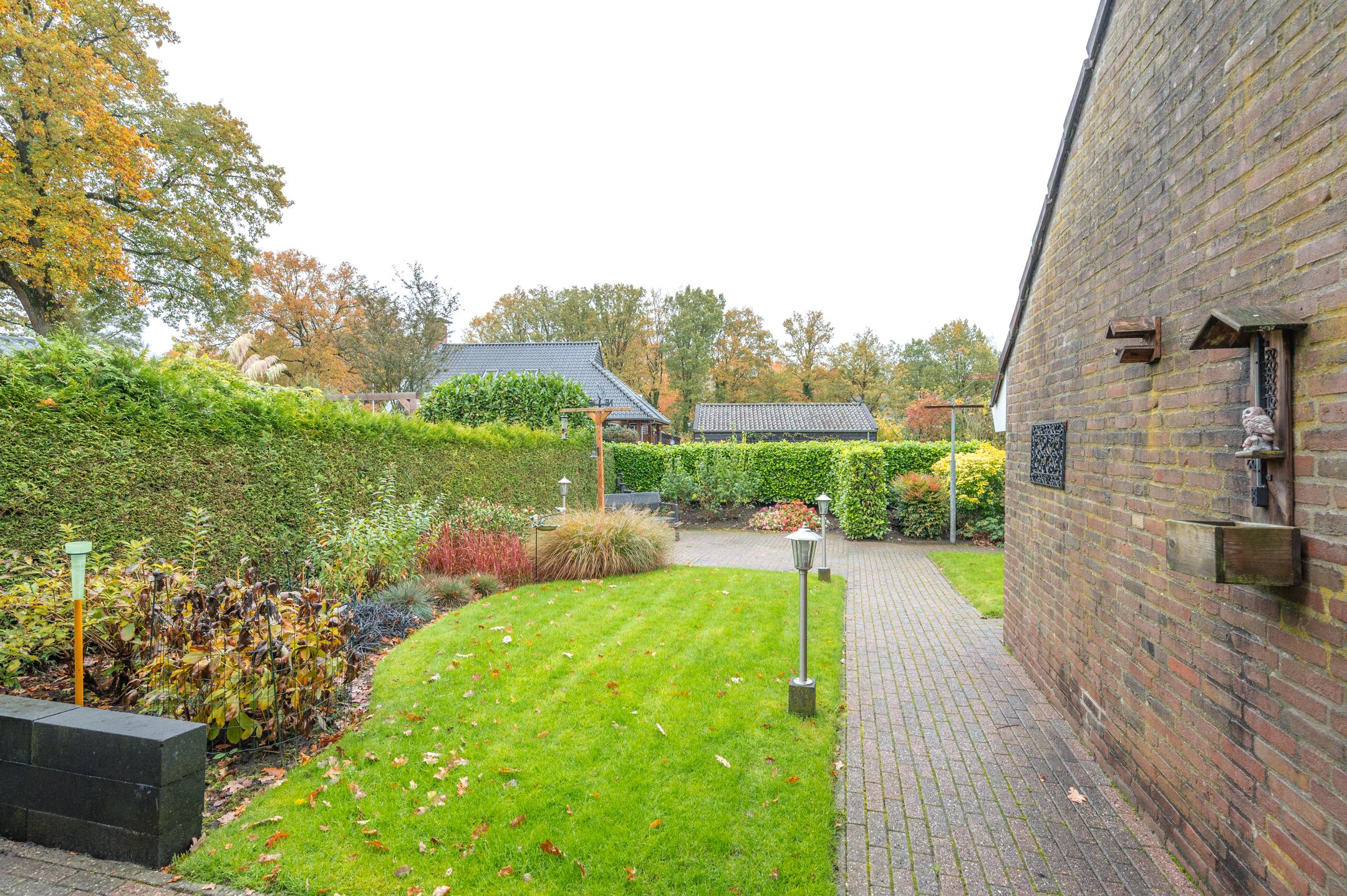 Foto 51 van Korenbloemstraat 7