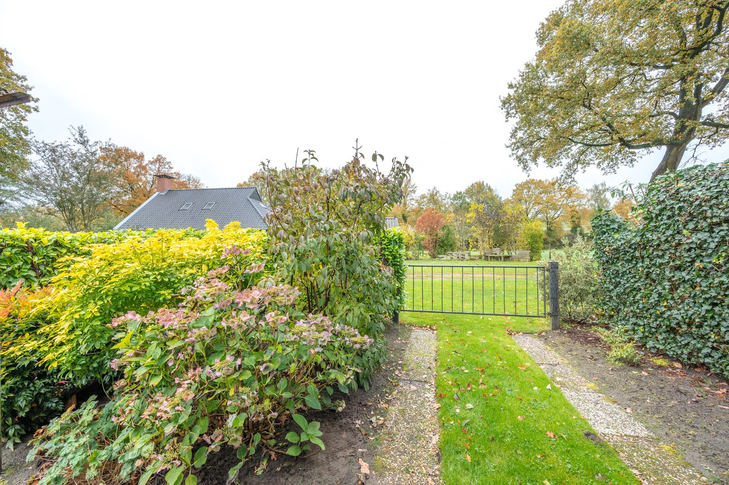 Foto 59 van Korenbloemstraat 7